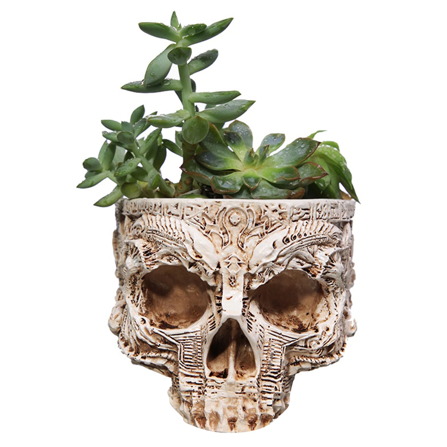 Halloween Skull Flower Pot Gothic Skeleton Planter Home Garden Decor