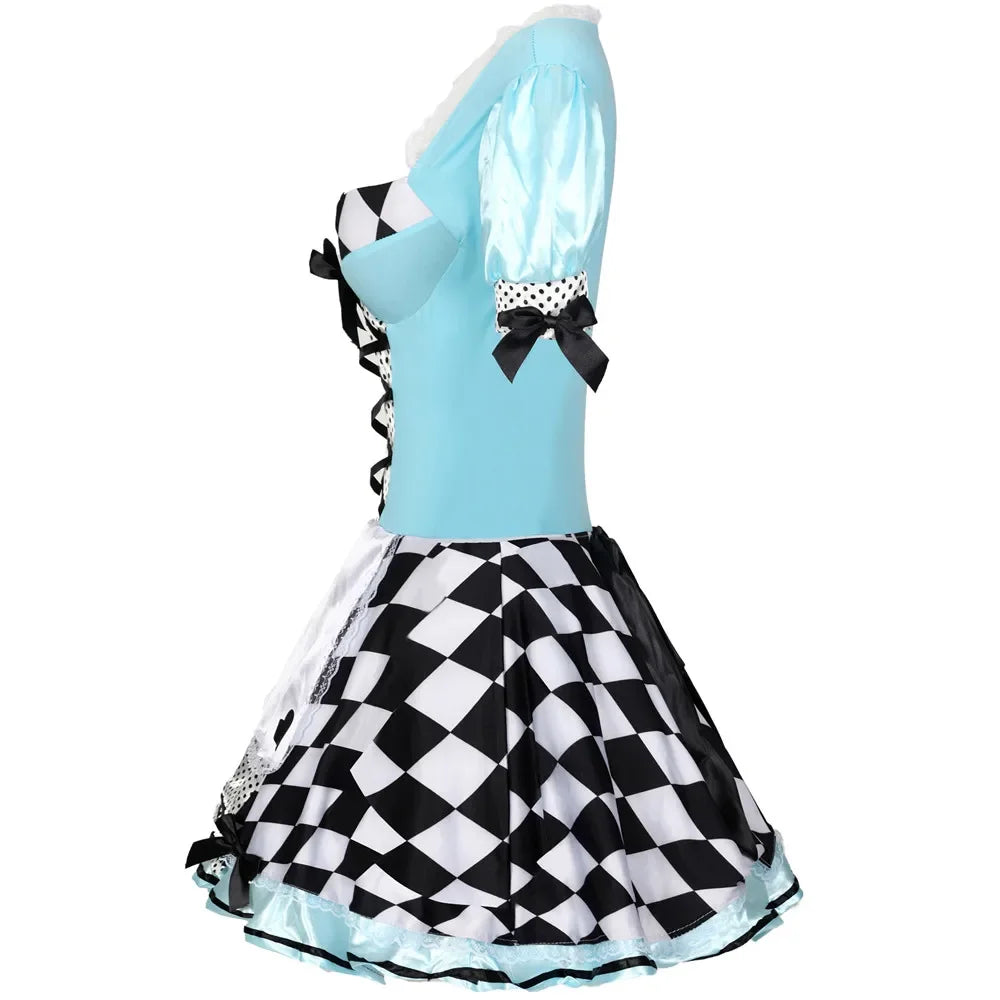 Sexy Adult Womens Alice in Wonderland Fancy Dress Costume